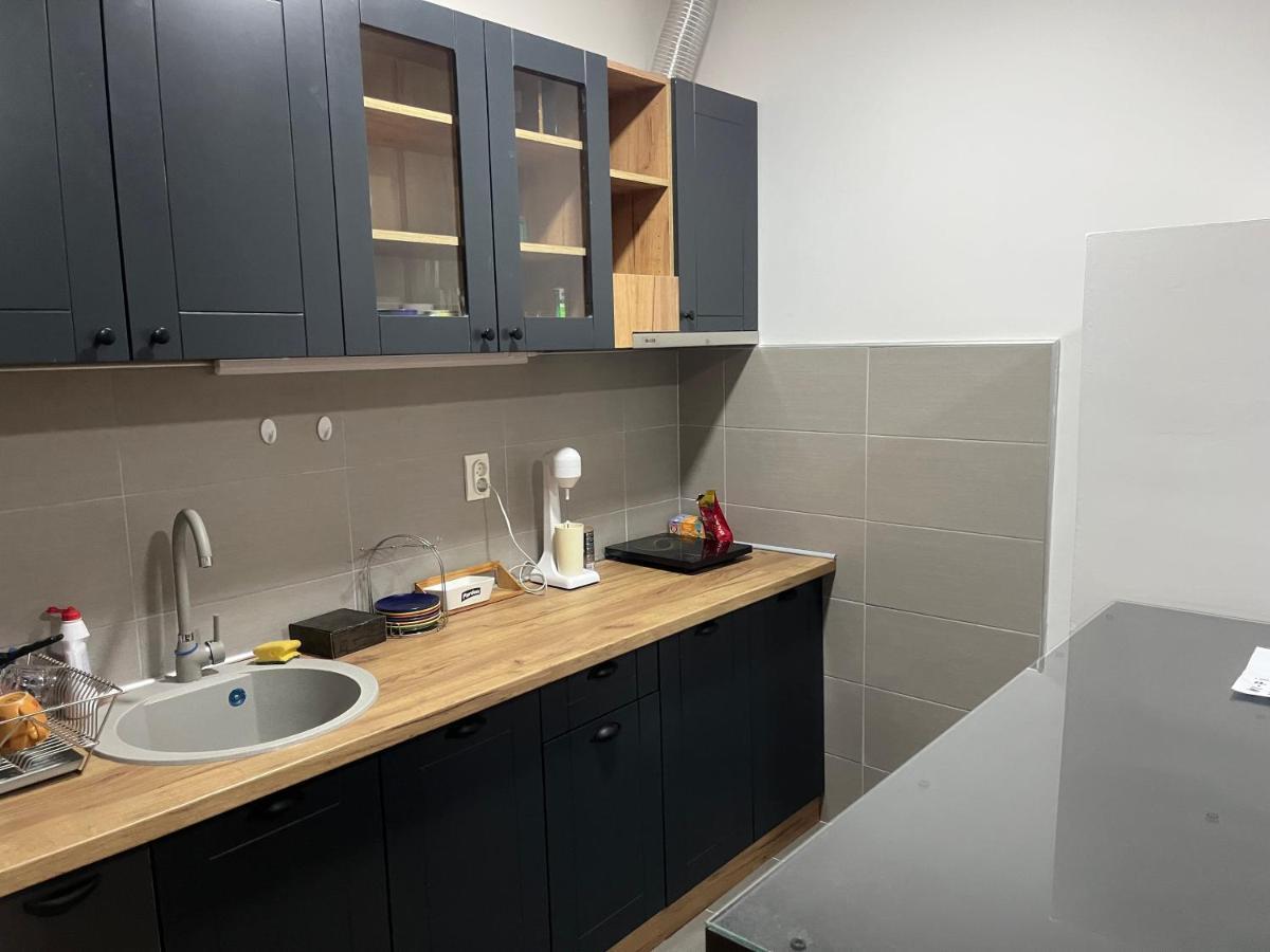 Penthouse Lejlighed Užice Eksteriør billede